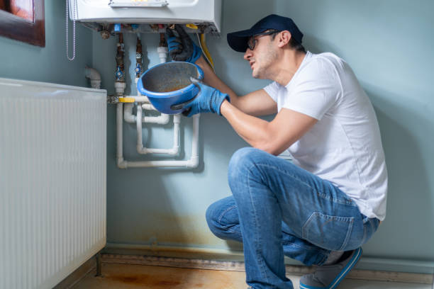Best Residential Plumbing Services  in Temperance, MI