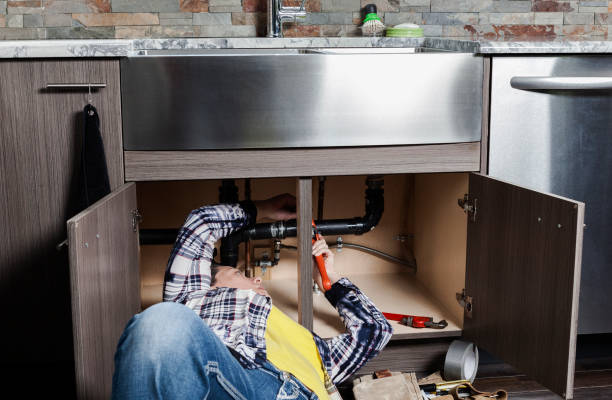 Best Toilet Repair Services  in Temperance, MI