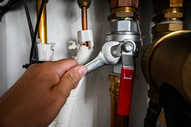 Best Affordable Plumber Near Me  in Temperance, MI